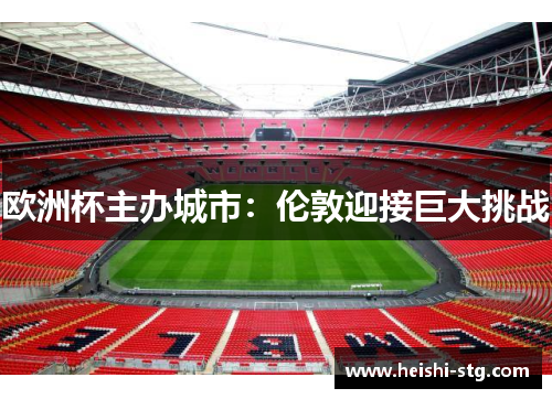 欧洲杯主办城市：伦敦迎接巨大挑战
